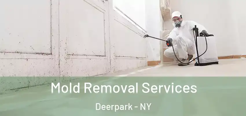 Mold Removal Services Deerpark - NY