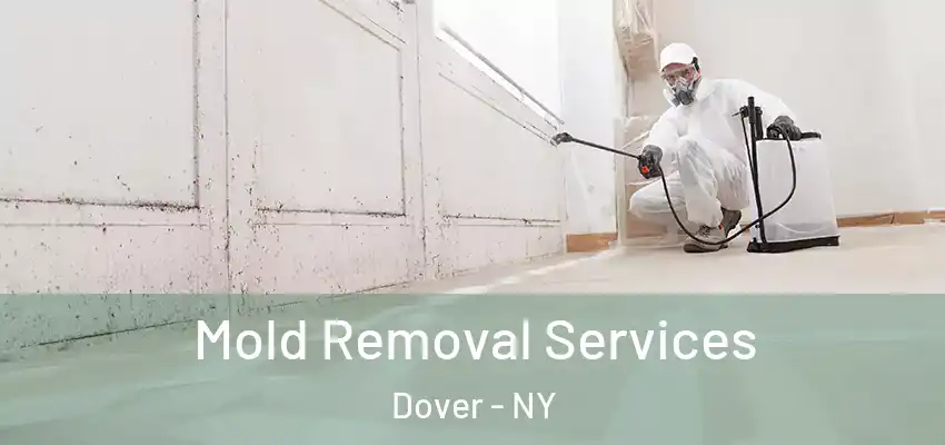  Mold Removal Services Dover - NY