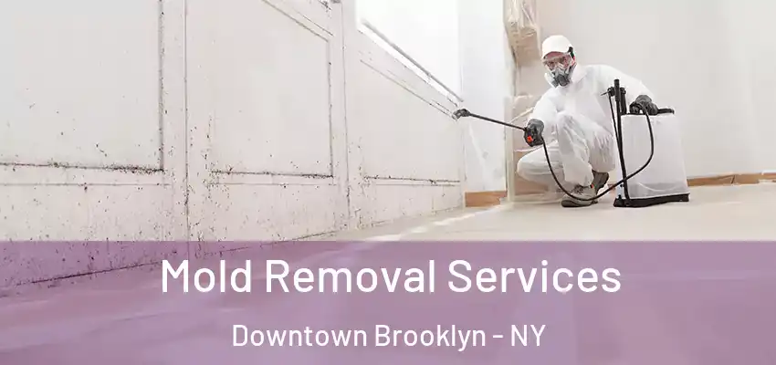  Mold Removal Services Downtown Brooklyn - NY