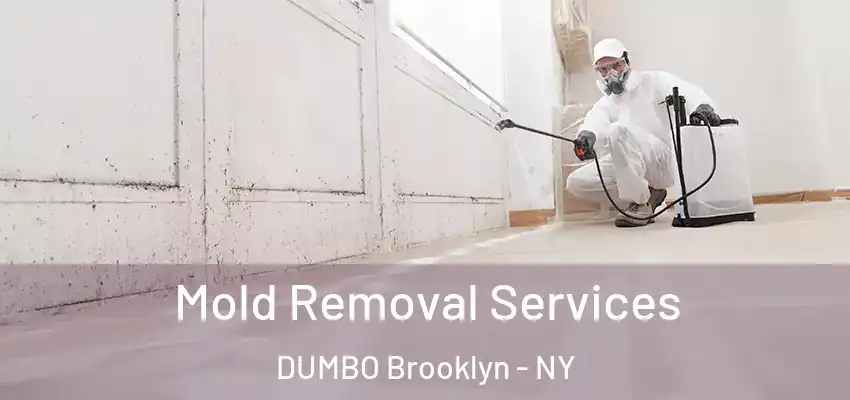 Mold Removal Services DUMBO Brooklyn - NY