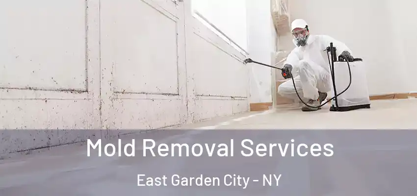  Mold Removal Services East Garden City - NY