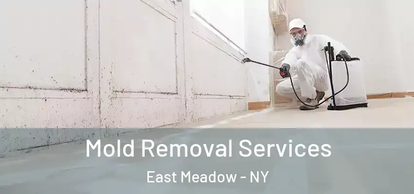  Mold Removal Services East Meadow - NY