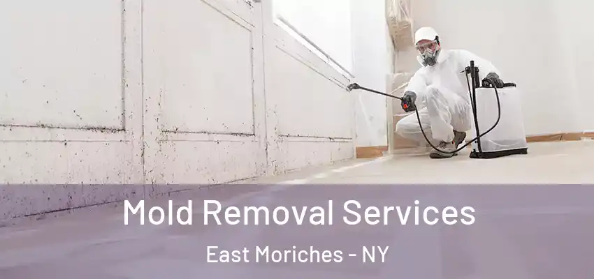 Mold Removal Services East Moriches - NY