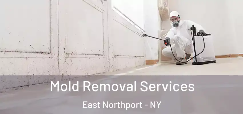 Mold Removal Services East Northport - NY
