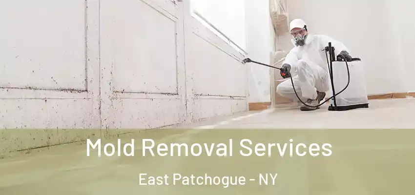 Mold Removal Services East Patchogue - NY