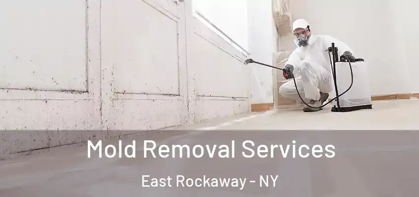  Mold Removal Services East Rockaway - NY