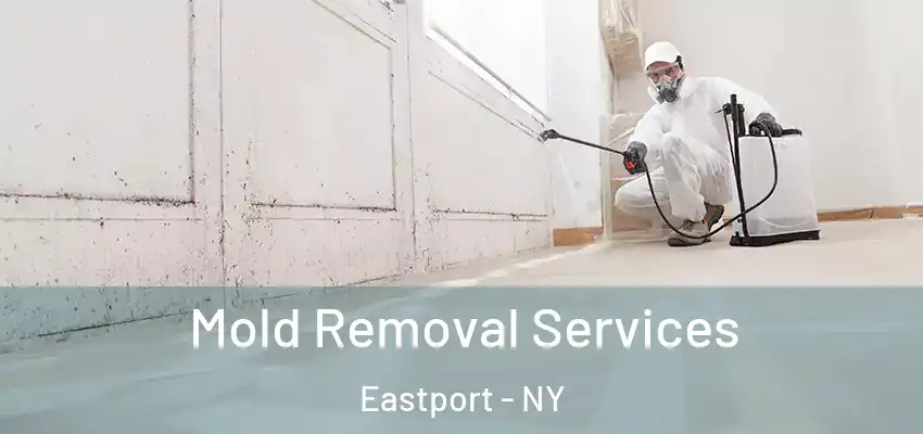 Mold Removal Services Eastport - NY