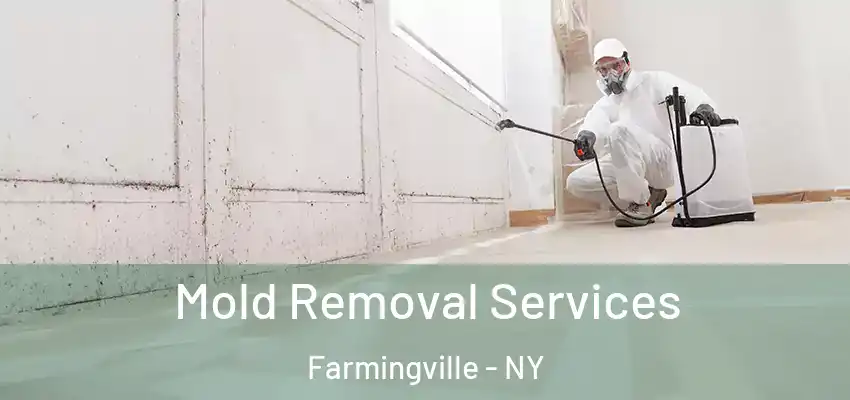  Mold Removal Services Farmingville - NY
