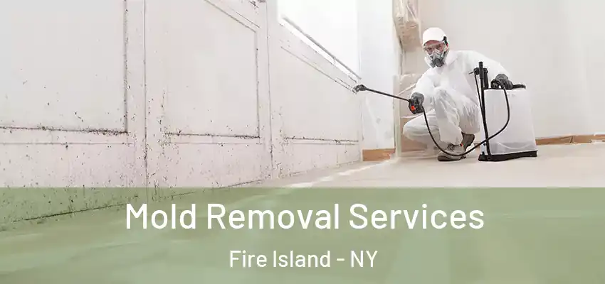 Mold Removal Services Fire Island - NY