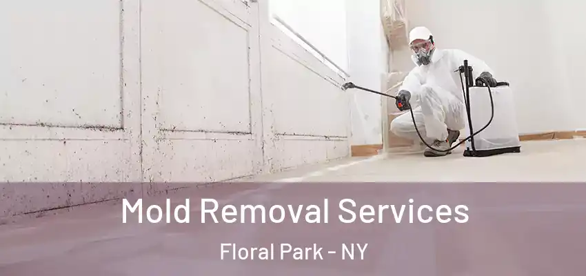  Mold Removal Services Floral Park - NY
