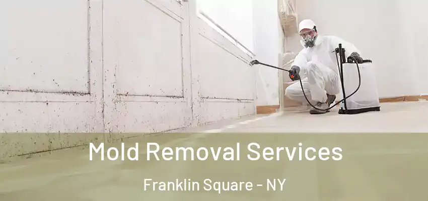 Mold Removal Services Franklin Square - NY