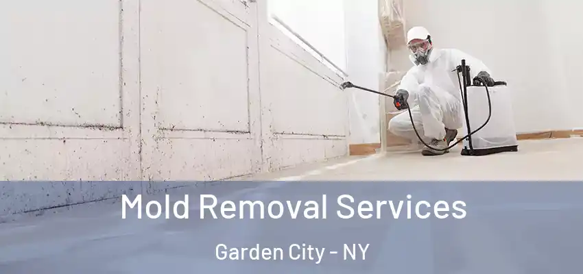 Mold Removal Services Garden City - NY