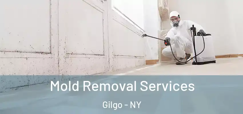 Mold Removal Services Gilgo - NY