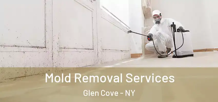 Mold Removal Services Glen Cove - NY