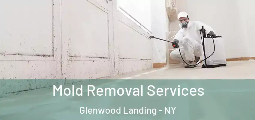  Mold Removal Services Glenwood Landing - NY