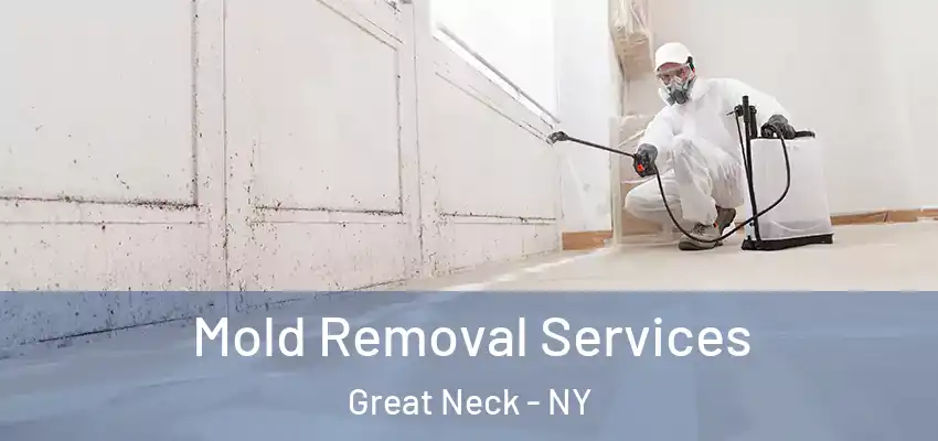 Mold Removal Services Great Neck - NY