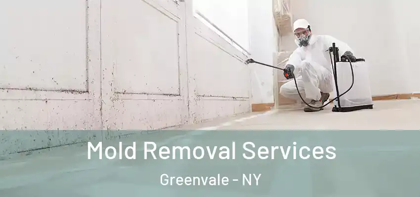 Mold Removal Services Greenvale - NY