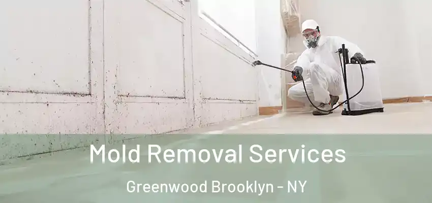 Mold Removal Services Greenwood Brooklyn - NY