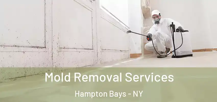 Mold Removal Services Hampton Bays - NY
