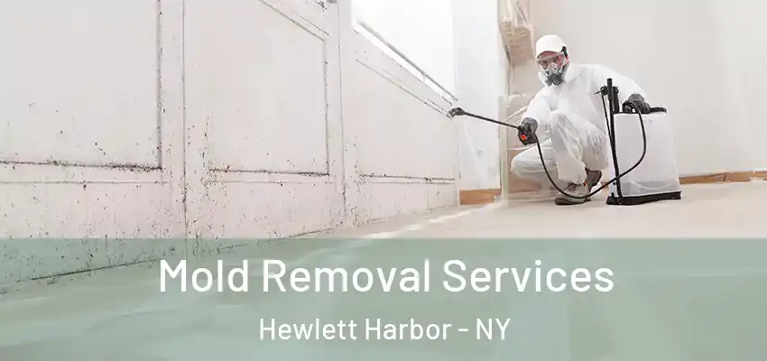  Mold Removal Services Hewlett Harbor - NY