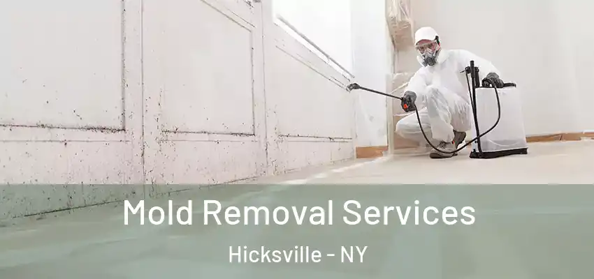 Mold Removal Services Hicksville - NY
