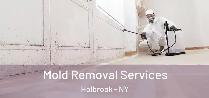 Mold Removal Services Holbrook - NY