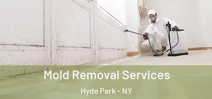 Mold Removal Services Hyde Park - NY