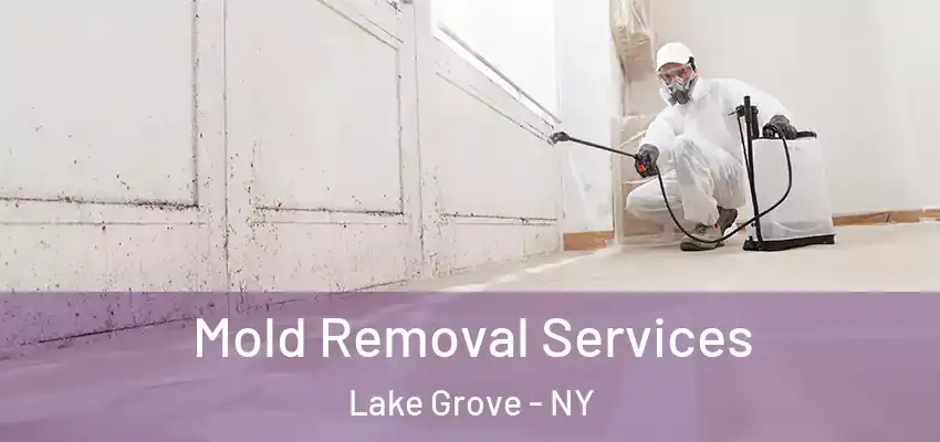  Mold Removal Services Lake Grove - NY
