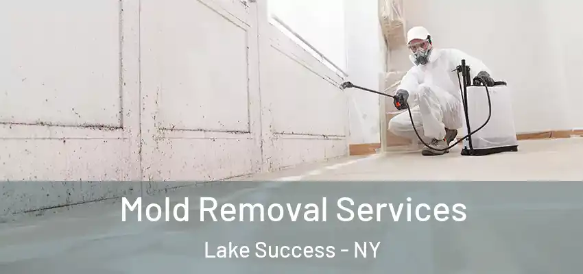  Mold Removal Services Lake Success - NY