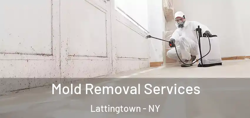  Mold Removal Services Lattingtown - NY