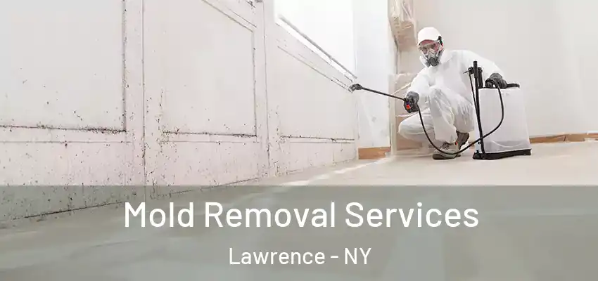  Mold Removal Services Lawrence - NY