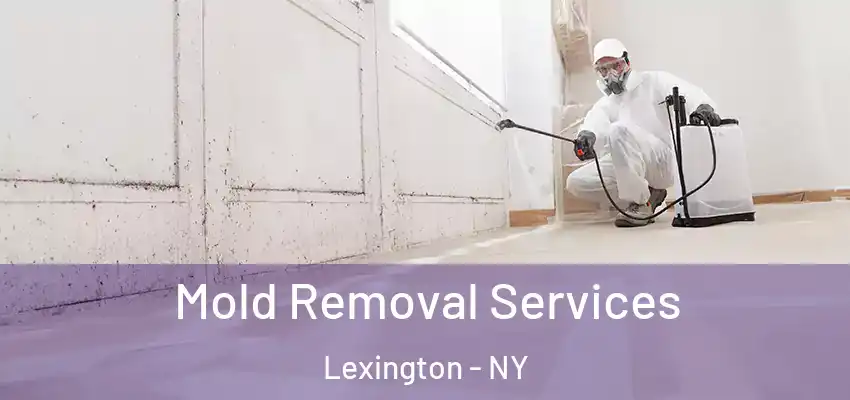 Mold Removal Services Lexington - NY