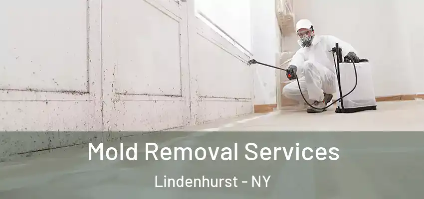 Mold Removal Services Lindenhurst - NY