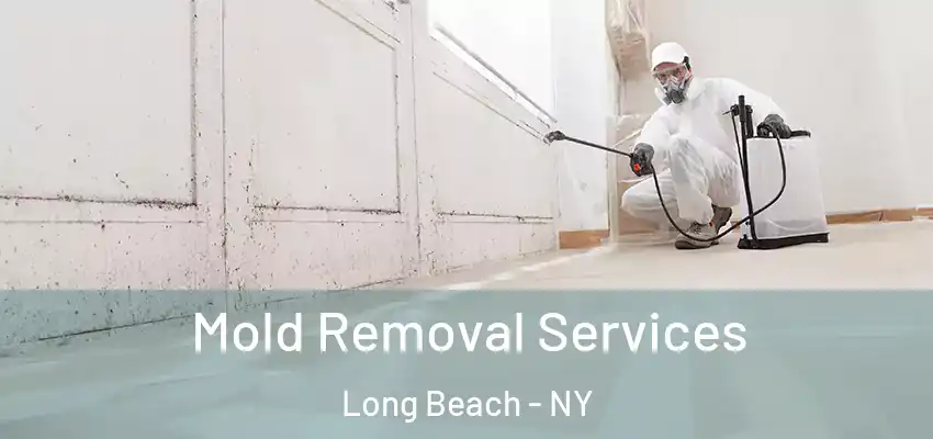 Mold Removal Services Long Beach - NY