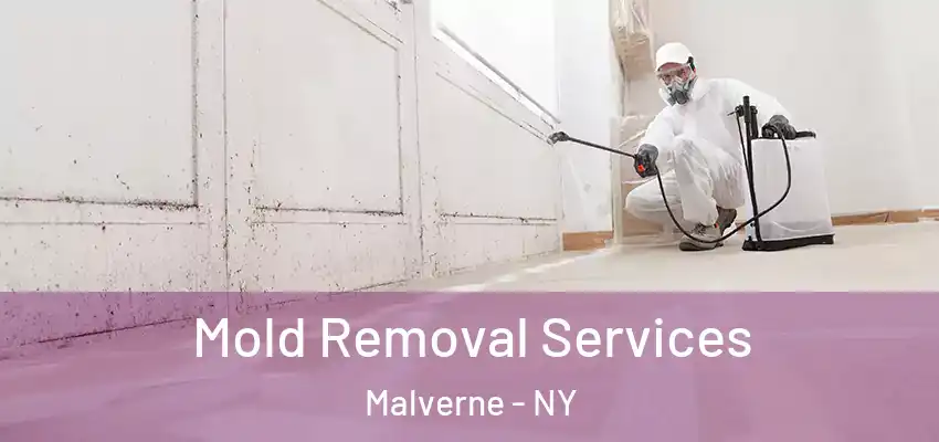 Mold Removal Services Malverne - NY
