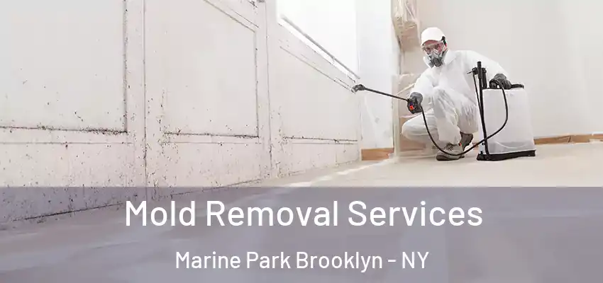  Mold Removal Services Marine Park Brooklyn - NY