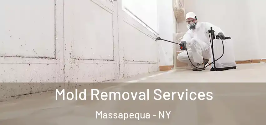 Mold Removal Services Massapequa - NY