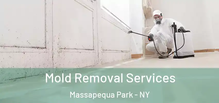  Mold Removal Services Massapequa Park - NY
