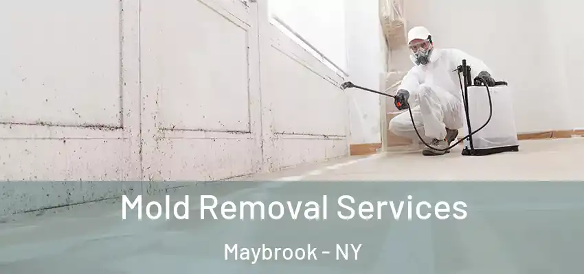  Mold Removal Services Maybrook - NY