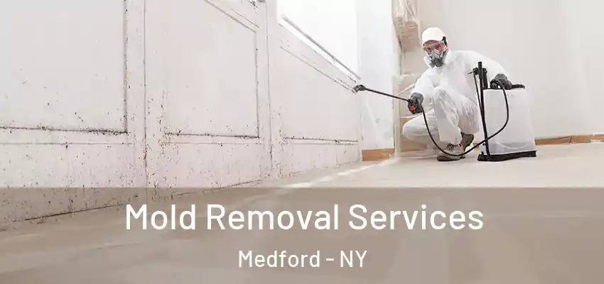  Mold Removal Services Medford - NY