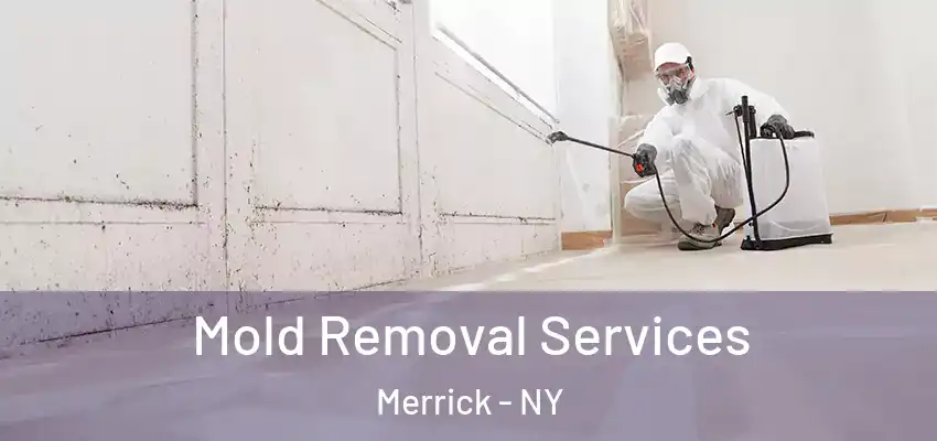  Mold Removal Services Merrick - NY