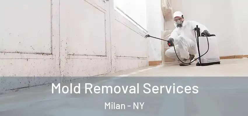 Mold Removal Services Milan - NY