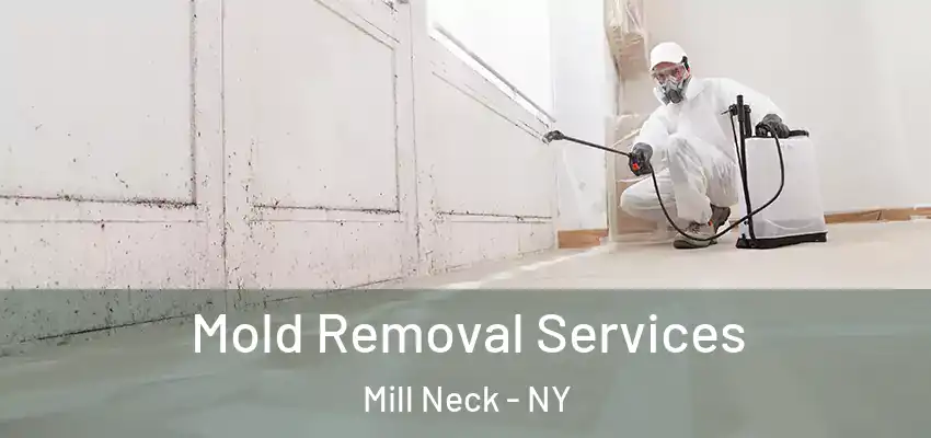  Mold Removal Services Mill Neck - NY