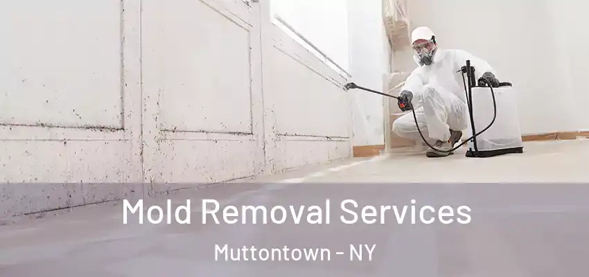Mold Removal Services Muttontown - NY