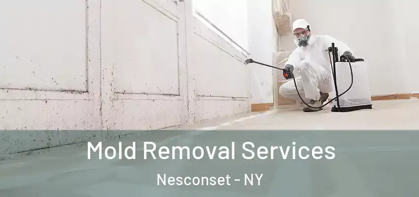  Mold Removal Services Nesconset - NY
