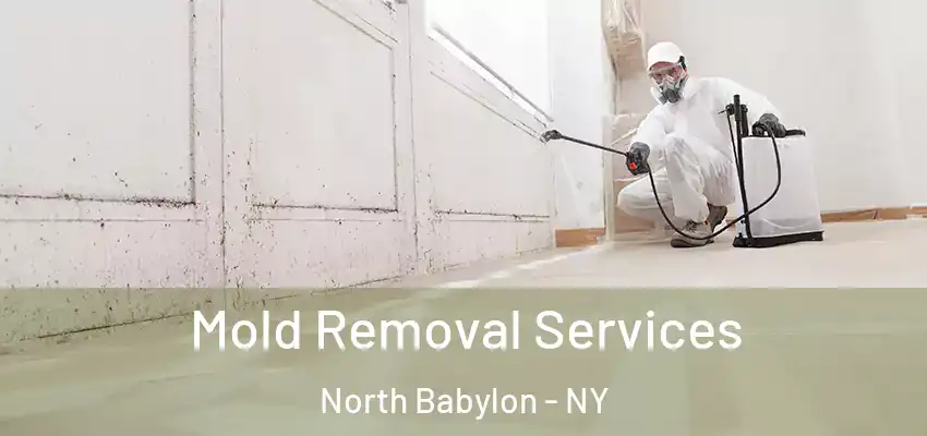 Mold Removal Services North Babylon - NY