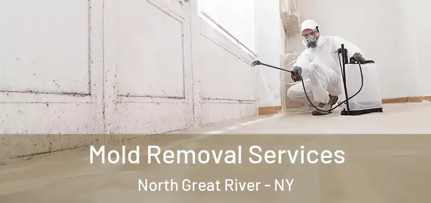  Mold Removal Services North Great River - NY