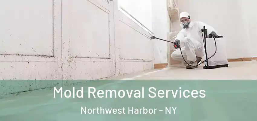 Mold Removal Services Northwest Harbor - NY