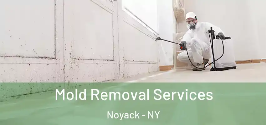  Mold Removal Services Noyack - NY