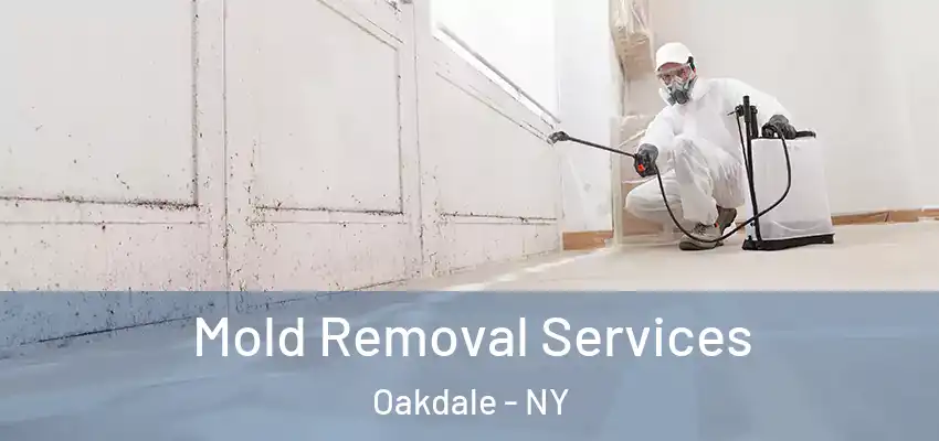  Mold Removal Services Oakdale - NY